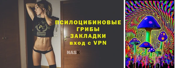 дмт Козловка